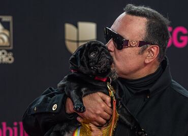 "Gordo", el perrito Aguilar que roba corazones