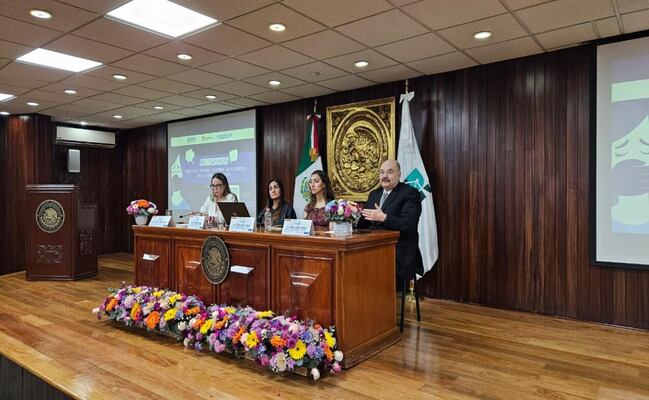 Tribunal Superior de Justicia de la CDMX garantiza protección a mujeres víctimas de violencia; medidas operan 24/7 todo el año