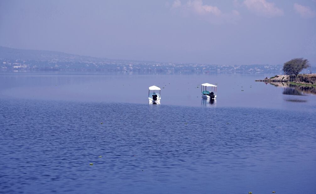 De agosto a octubre del 2024 el nivel del agua creció y la cantidad de lirio no era tanto, pescadores refirieron que alrededor de 30 hectáreas estaban afectadas en esa época. Foto: Carlos Mejía / EL UNIVERSAL