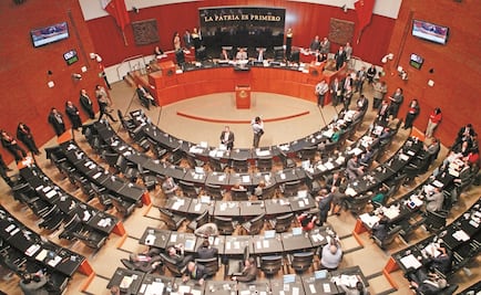 Propondrán senadores verificación en todo el país