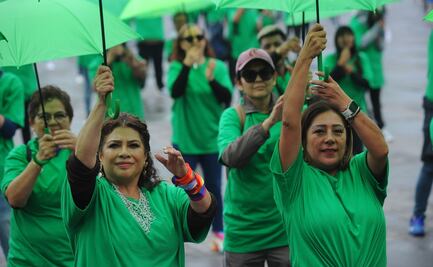 Morena prevé discutir reforma de franeleros en agosto