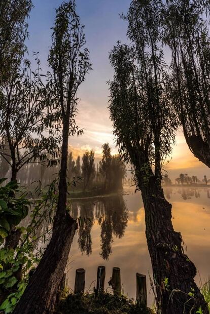 Así es ver el amanecer en Xochimilco sin turistas