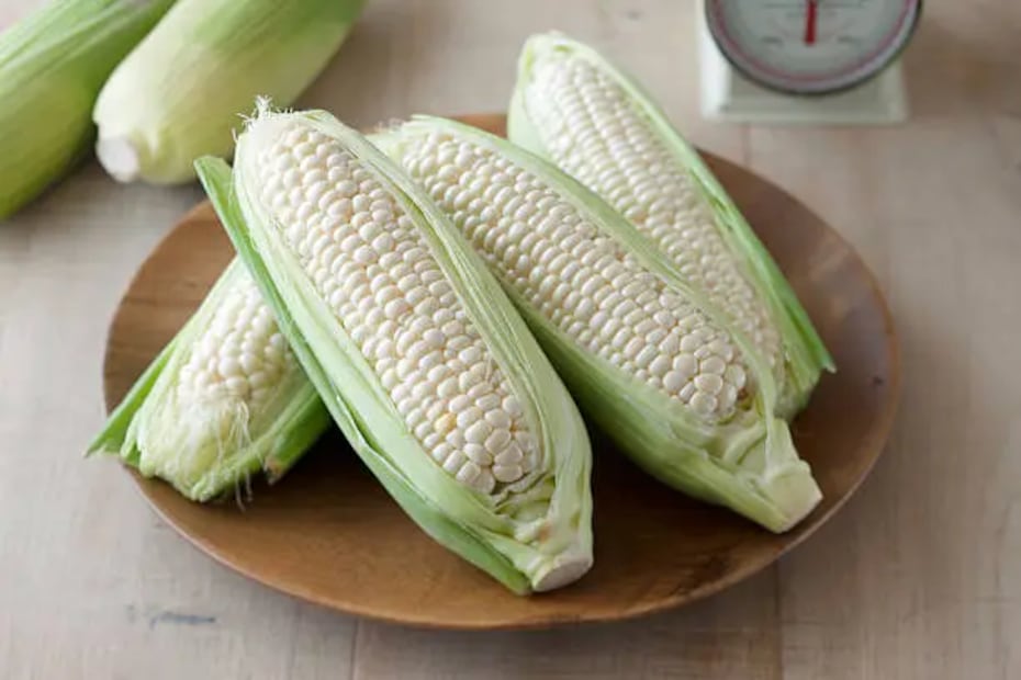El maíz cacahuazintle se puede usar para pozole, esquites, atole, harina y tortillas. Foto: Unsplash