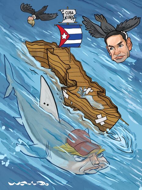 Cartón de WALDO