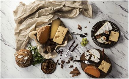 Descubre el delicioso mundo del queso