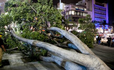 Activan alerta naranja por viento fuerte en siete alcaldías