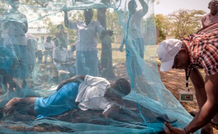 La OMS impulsa la prevención del paludismo para salvar vidas