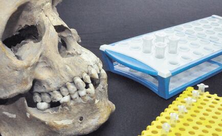 Mexican and German scientists collaborate in genetic research about the first African slaves in Colonial Mexico