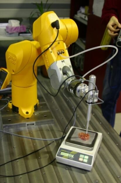 Crea bisturí para detectar tumores cerebrales