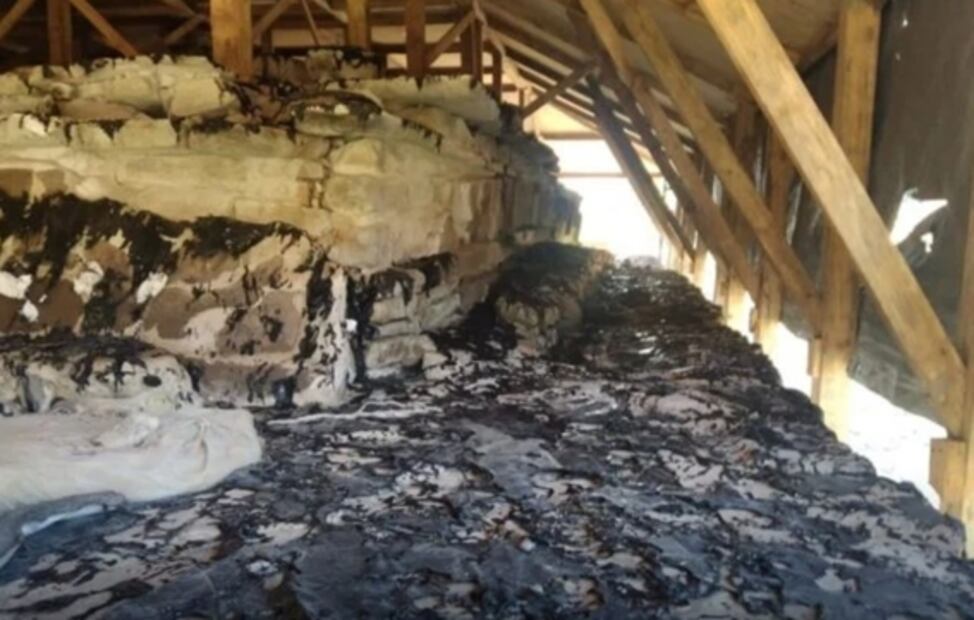 Denuncian daños por incendio en murales de El Tajín