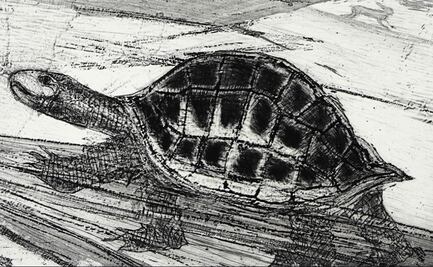 “Esopo” y Toledo, en la galería Quetzalli