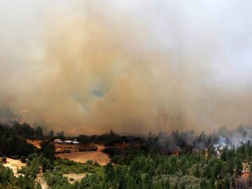 Bomberos y militares combaten incendio en Chile