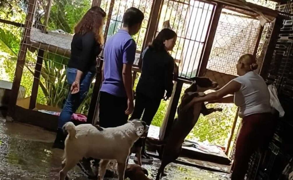 Foto: Facebook Refugio "Galleta Corazón Canino"
