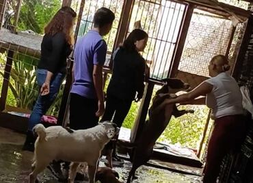 Refugio "Galleta corazón canino", en peligro de cierre; lucha por su supervivencia en Tenancingo