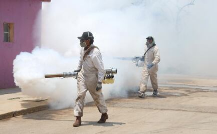 Conagua reduce presencia del mosquito Culex en presa Endhó, Hidalgo; mantiene la estrategia de fumigación