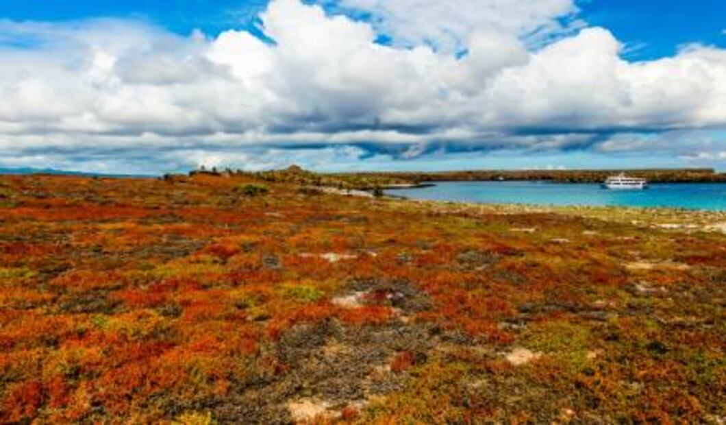 Viaja a las islas de las tortugas gigantes