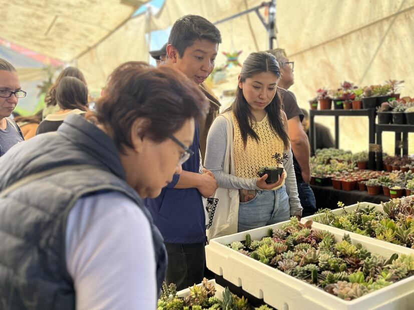 El Plant Fest reúne a los amantes de las plantas con productores especializados. Foto: Facebook Plant Fest