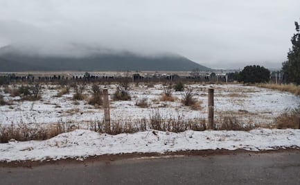Piden extremar precauciones ante caída de nieve y formación de hielo en Sierra de Arteaga, Coahuila; restringirán acceso