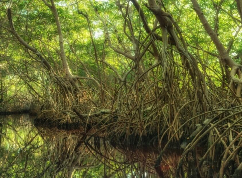 Sian Ka’an: playas y cenotes en esta reserva de Quintana Roo