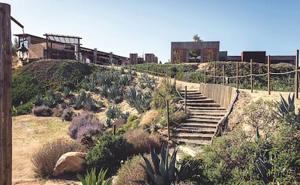 La tragedia de los bienes comunes y el Valle de Guadalupe