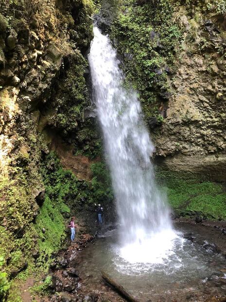 Foto: Travesías y Sabores