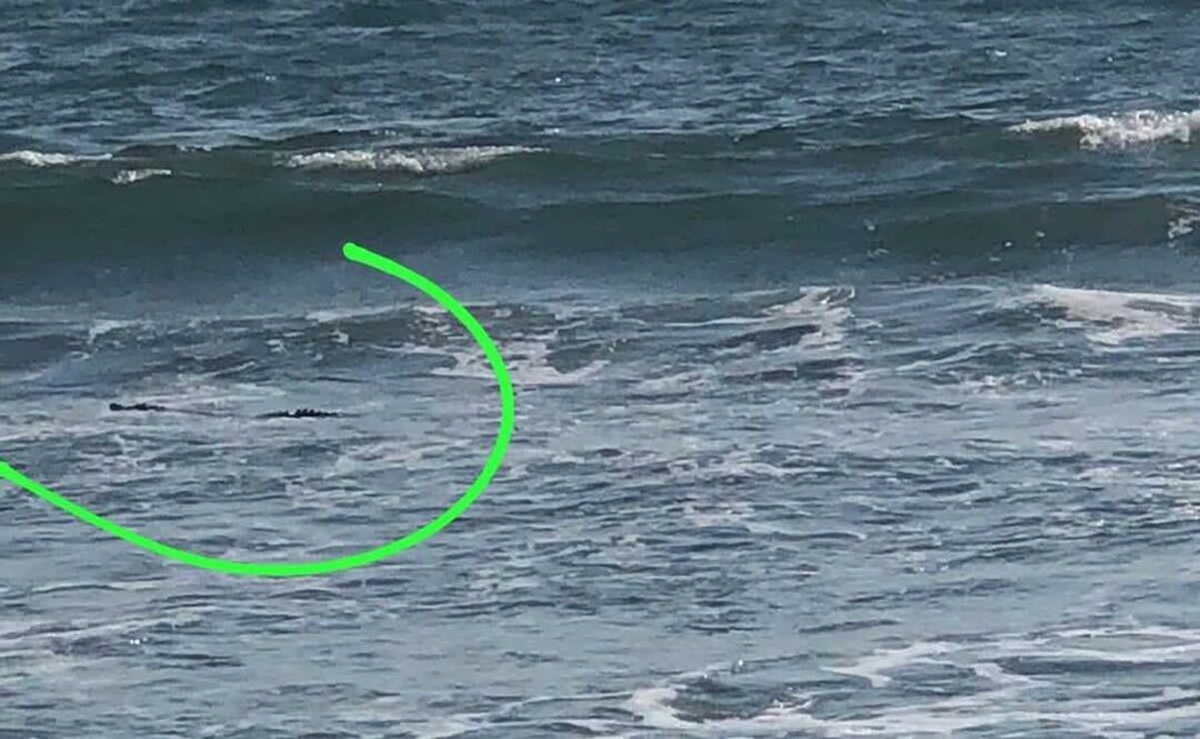 Foto: Secretaría de Seguridad y Protección Ciudadana de Nayarit