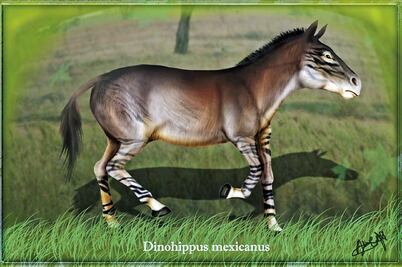 México, origen de los caballos actuales