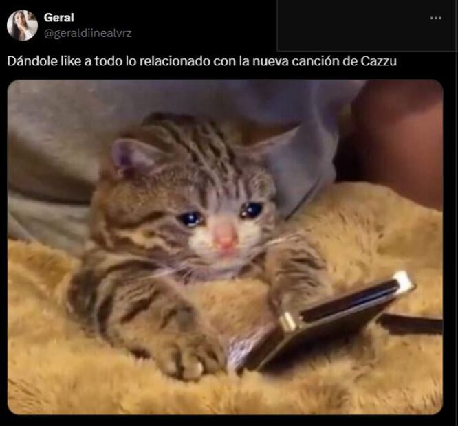 Los mejores memes que dejó "La Cueva", nuevo sencillo de Cazzu. Foto: Captura de pantalla