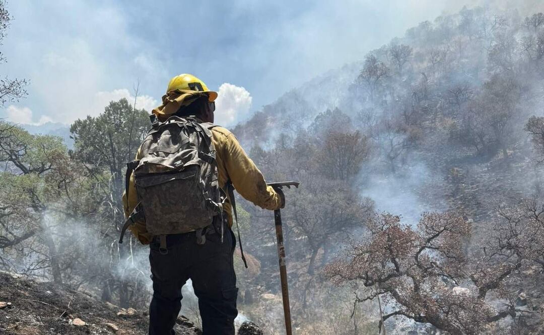 Controlan en su totalidad el incendio forestal en la Sierra Los Ajos, Sonora (04/07/2025). Foto: Protección Civil Sonora