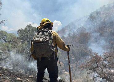 Liquidan incendio forestal en Sierra Los Ajos, Sonora; devastó más de 10 mil hectáreas