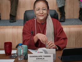 Víctor Trujillo "Brozo" parodia a Guadalupe Taddei por uso de acordeones en elección judicial; video se viraliza