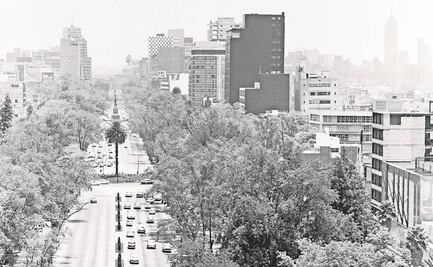 Un ícono de la Ciudad de México