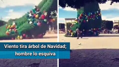 Fuertes vientos derriban árbol de Navidad en Hidalgo
