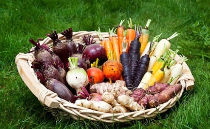 El superalimento que rejuvenece, promueve el colágeno y combate el cáncer