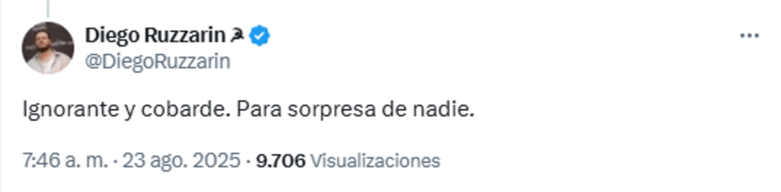 Comentario de Diego Ruzzarín en post de El Temach. Foto: X