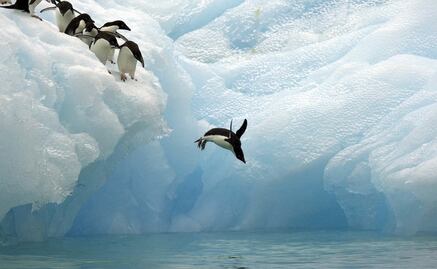 Comienza la primera expedición científica alrededor de la Antártida