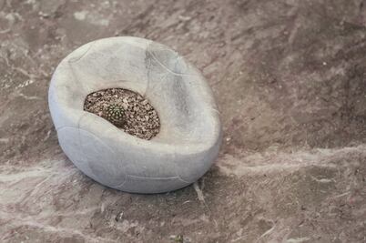 Golazo de Lucina Jiménez en el Museo de Arte Moderno