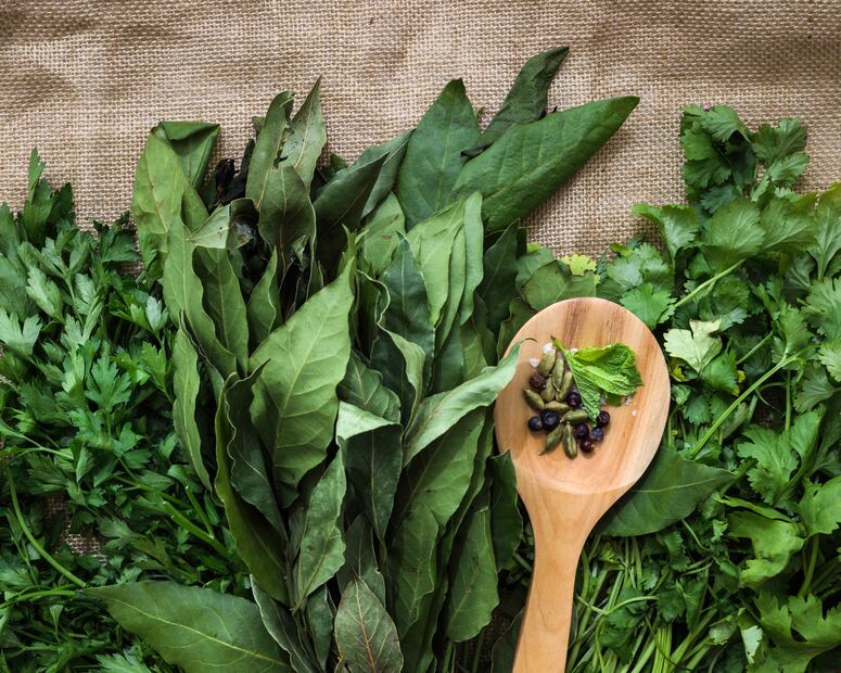 El epazote, una hierba que ha acompañado a la gastronomía mexicana y a la medicina popular. Foto: Freepik