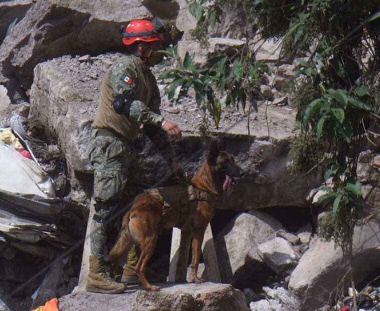Sigue búsqueda en el Cerro del Chiquihuite; autoridades identifican a 3 personas como desparecidas