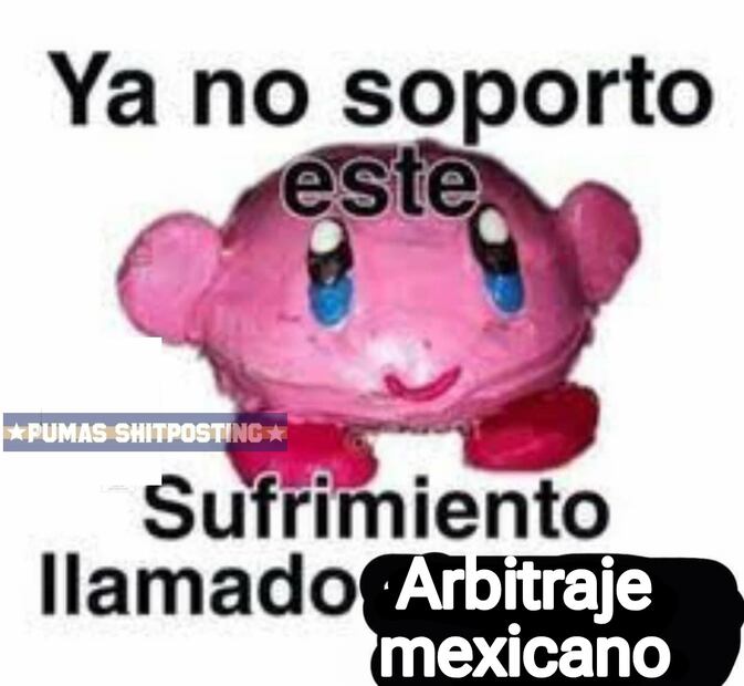 Memes Pumas