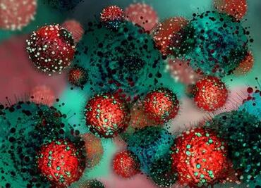 Vacunas contra Covid-19: ¿Por qué el coronavirus difícilmente escapa de la inmunización?