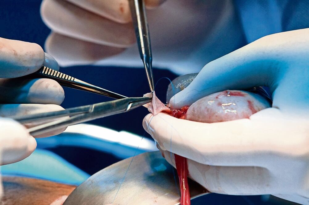 El Sacred Heart Emerald Coast, un sistema de atención médica católico sin fines de lucro que tiene 140 hospitales en Estados Unidos, informó de que ya investiga el caso. Foto: Ilustrativa / Archivo