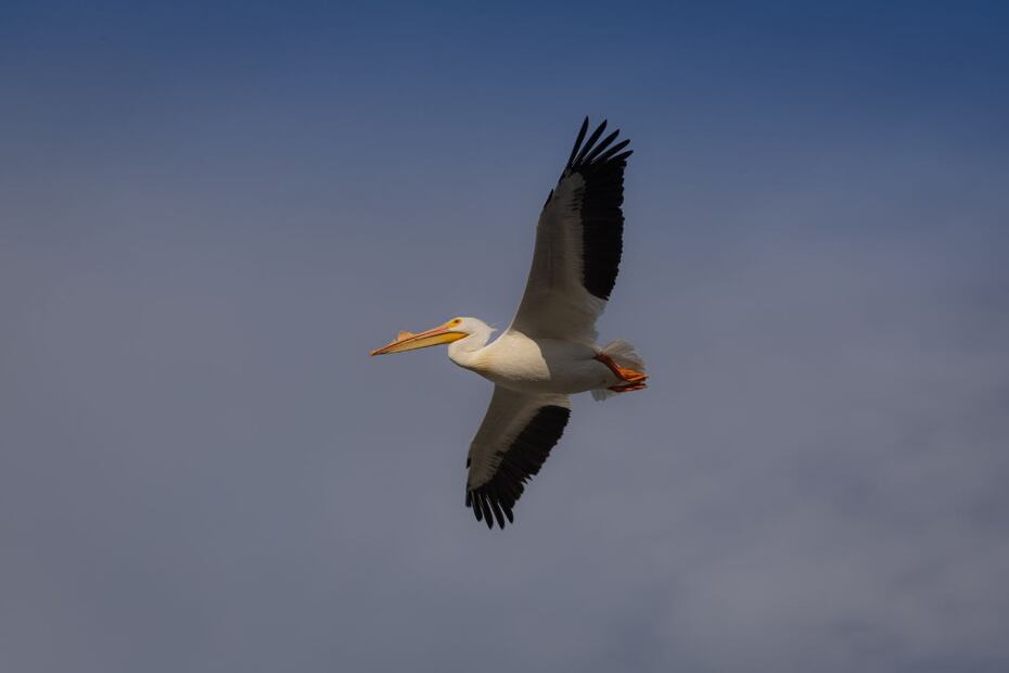 Foto: Sectur Michoacán