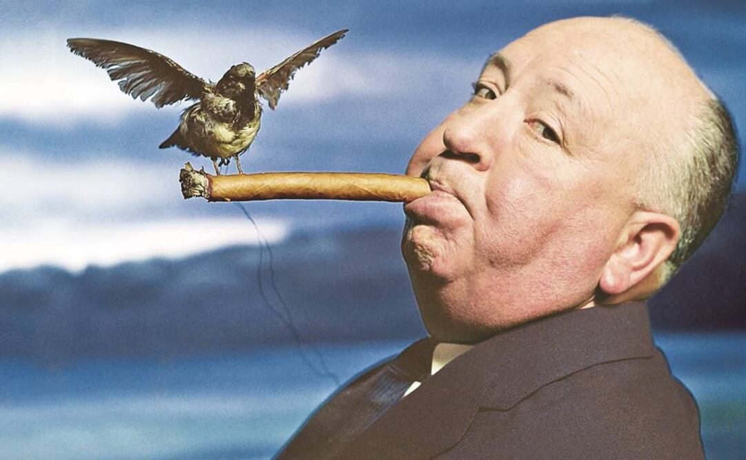 Hitchocok evitó dar en el filme una explicación al ataque los pájaros (ESPECIAL)