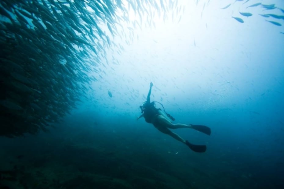 Paraísos naturales de México, en el Día Internacional del Turismo