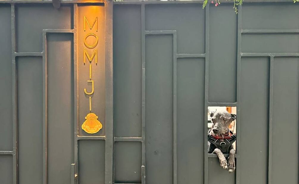 Momiji: speakeasy gastronómico que fusiona la cocina japonesa con la italiana