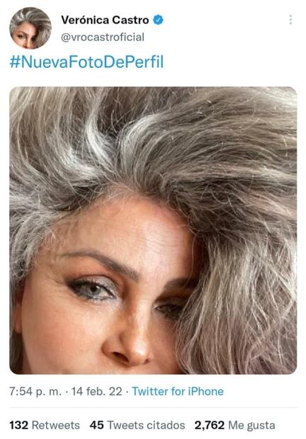 Critican a Verónica Castro, pero ella defiende su foto con filtros
