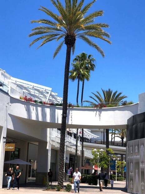 Black Friday: trucos para ir de compras, si viajas a San Diego