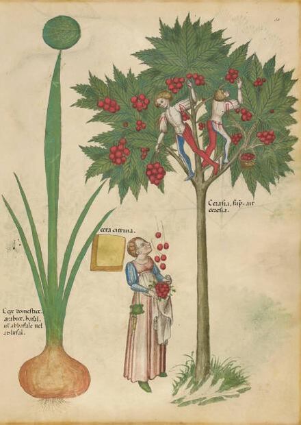 Manuel Moleiro, el editor de la “perfección”