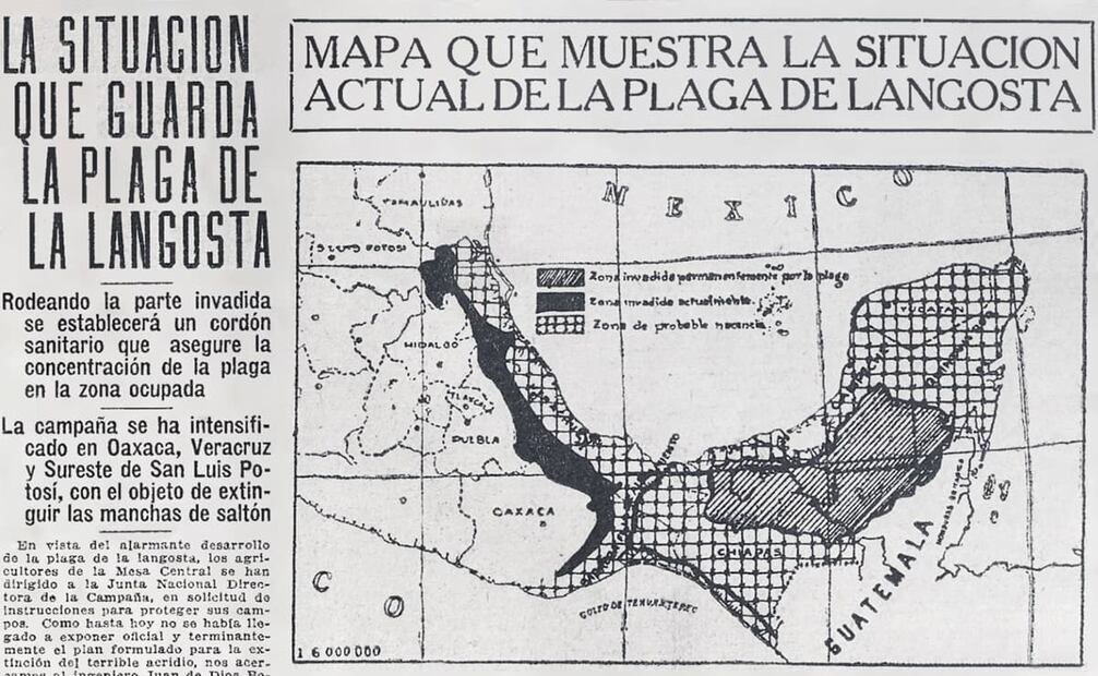 Mapa de 1925, invasión del acrídido. Entre las medidas que Yucatán aplicó contra los acrídidos estuvo un impuesto sobre boletos para espectáculos, que entonces costarían tres centavos más para ayudar a la campaña de erradicación. Foto: Hemeroteca EL UNIVERSAL.
